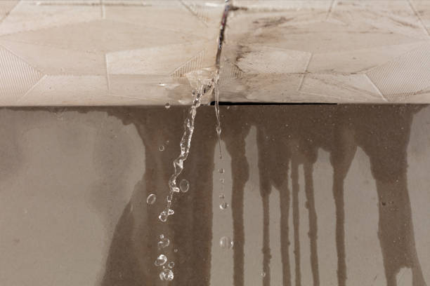 Professional Water Damage Inspection technician working in Mercer Island, WA